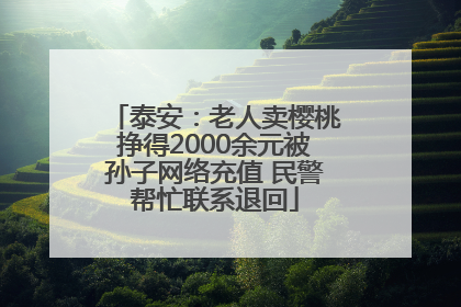 泰安：老人卖樱桃挣得2000余元被孙子网络充值 民警帮忙联系退回