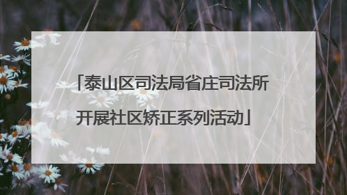 泰山区司法局省庄司法所开展社区矫正系列活动