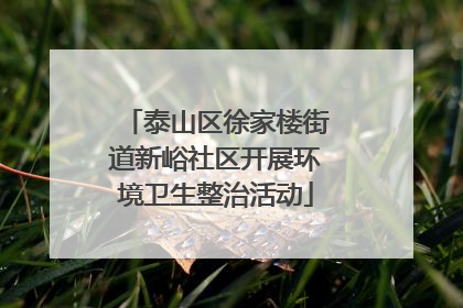 泰山区徐家楼街道新峪社区开展环境卫生整治活动