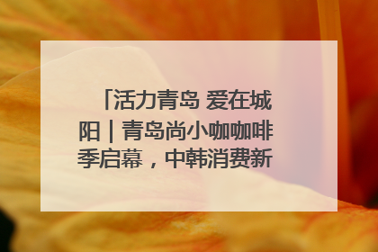 活力青岛 爱在城阳｜青岛尚小咖咖啡季启幕，中韩消费新场景点燃夏日热情