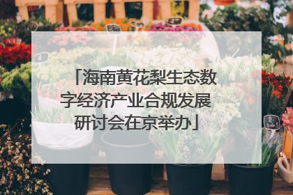 海南黄花梨生态数字经济产业合规发展研讨会在京举办