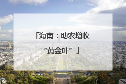 海南：助农增收 “黄金叶”