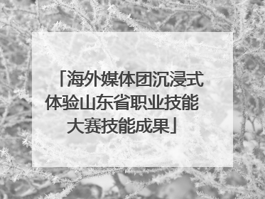 海外媒体团沉浸式体验山东省职业技能大赛技能成果