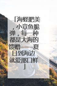 海蛏肥美，小章鱼脆弹，每一种都是大海的馈赠——夏日到海边 就爱那口鲜