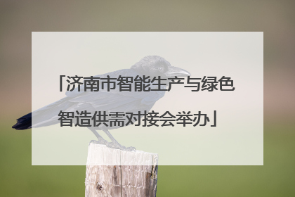 济南市智能生产与绿色智造供需对接会举办