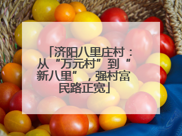 济阳八里庄村：从“万元村”到“新八里”，强村富民路正宽
