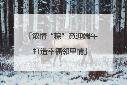 浓情“粽”意迎端午 打造幸福邻里情