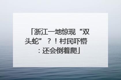 浙江一地惊现“双头蛇”？！村民吓懵：还会倒着爬