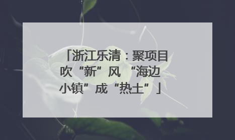 浙江乐清：聚项目吹“新”风 “海边小镇”成“热土”