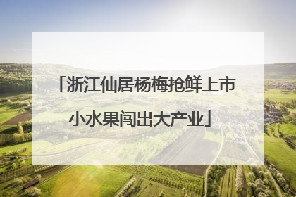 浙江仙居杨梅抢鲜上市 小水果闯出大产业