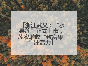 浙江武义：“水果莲”正式上市，莲农增收“致富果”注活力