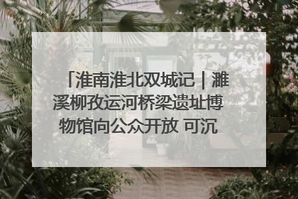 淮南淮北双城记｜濉溪柳孜运河桥梁遗址博物馆向公众开放 可沉浸式触摸历史