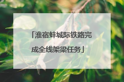 淮宿蚌城际铁路完成全线架梁任务
