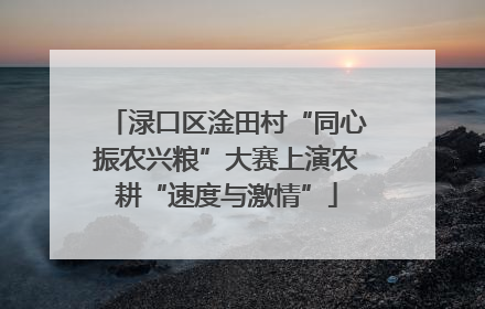 渌口区淦田村“同心振农兴粮”大赛上演农耕“速度与激情”