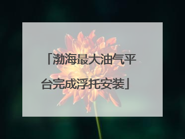 渤海最大油气平台完成浮托安装