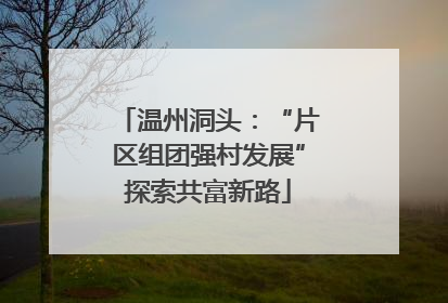 温州洞头：“片区组团强村发展”探索共富新路