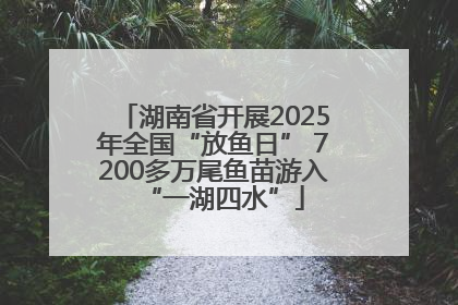 湖南省开展2025年全国“放鱼日” 7200多万尾鱼苗游入“一湖四水”