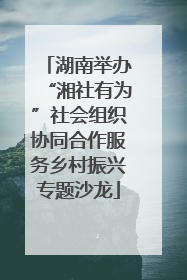湖南举办“湘社有为”社会组织协同合作服务乡村振兴专题沙龙