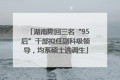 湖南隆回三名“95后”干部拟任副科级领导，均系硕士选调生