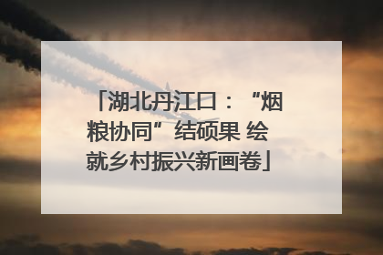 湖北丹江口：“烟粮协同”结硕果 绘就乡村振兴新画卷