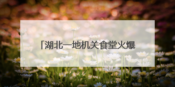 湖北一地机关食堂火爆出圈后“宠粉” 再升级！端午免费提供粽子盐蛋，部分人可八折