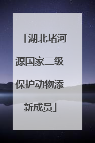 湖北堵河源国家二级保护动物添新成员