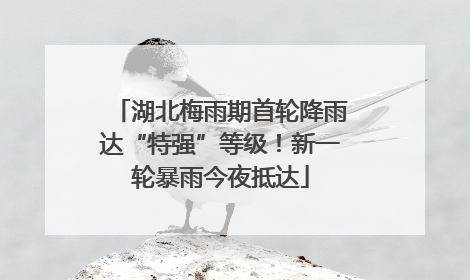 湖北梅雨期首轮降雨达“特强”等级！新一轮暴雨今夜抵达