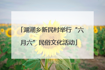 湖潮乡新民村举行“六月六”民俗文化活动