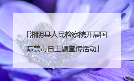 湘阴县人民检察院开展国际禁毒日主题宣传活动