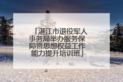 湛江市退役军人事务局举办服务保障暨思想权益工作能力提升培训班