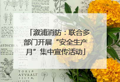 溆浦消防：联合多部门开展“安全生产月”集中宣传活动
