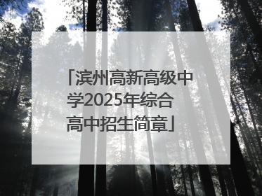 滨州高新高级中学2025年综合高中招生简章