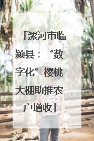 漯河市临颍县：“数字化”樱桃大棚助推农户增收