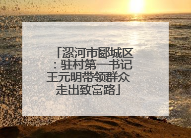 漯河市郾城区：驻村第一书记王元明带领群众走出致富路
