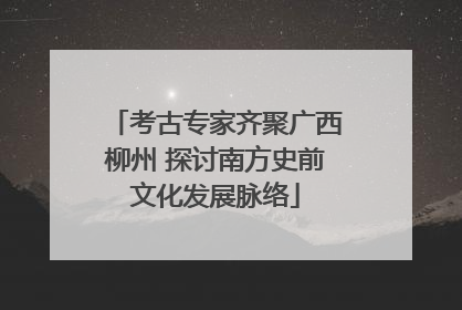 考古专家齐聚广西柳州 探讨南方史前文化发展脉络