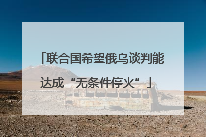 联合国希望俄乌谈判能达成“无条件停火”