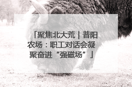 聚焦北大荒｜普阳农场：职工对话会凝聚奋进“强磁场”