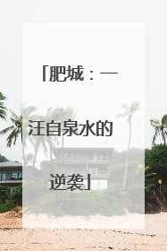 肥城：一汪自泉水的逆袭