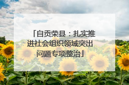 自贡荣县：扎实推进社会组织领域突出问题专项整治