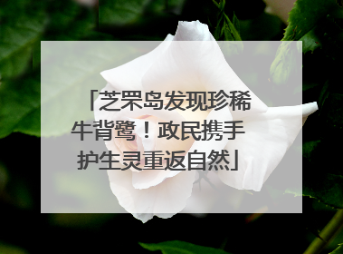芝罘岛发现珍稀牛背鹭！政民携手护生灵重返自然