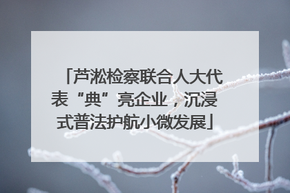 芦淞检察联合人大代表“典”亮企业，沉浸式普法护航小微发展