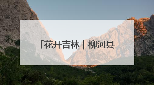 花开吉林｜柳河县千亩芍药竞芳菲