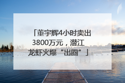 董宇辉4小时卖出3800万元，潜江龙虾火爆“出圈”