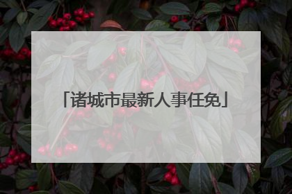 诸城市最新人事任免