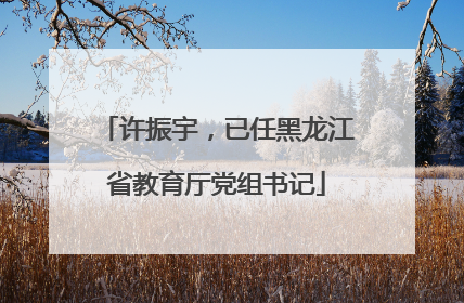 许振宇，已任黑龙江省教育厅党组书记