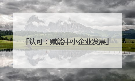 认可：赋能中小企业发展