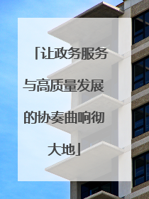 让政务服务与高质量发展的协奏曲响彻大地
