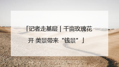 记者走基层｜千亩玫瑰花开 美景带来“钱景”