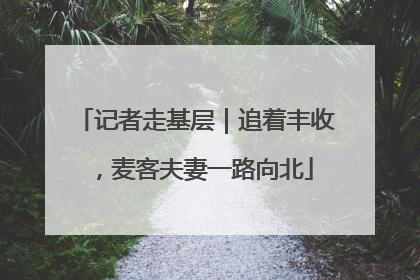 记者走基层｜追着丰收，麦客夫妻一路向北