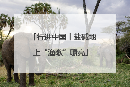 行进中国丨盐碱地上“渔歌”嘹亮